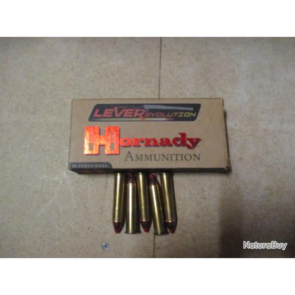 lot de 25 munitions calibre 45/70