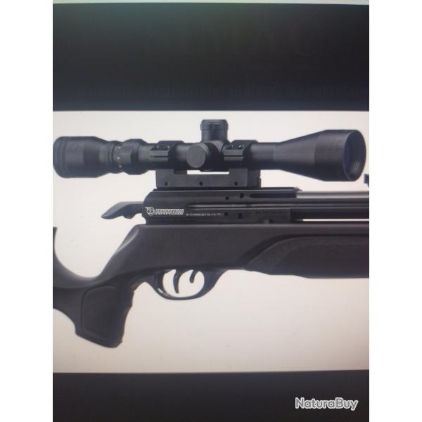 Carabine gamo arrow pcp 4.5 mm 19.9 joules et lunette 3-9x40 wr