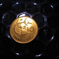 Seychelles  piece de 10 cents 2007 (poisson)  ttb +