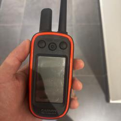 Garmin alpha 100