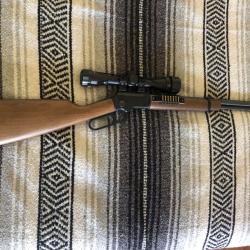 Chiappa LA322 + lunette Nikko Stirling 4x32 AO