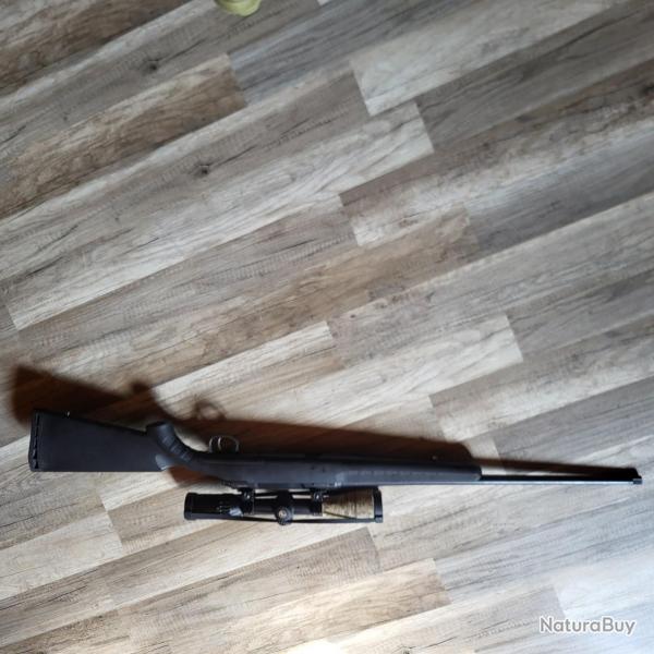 Savage Axis 243w pack prt  chasser