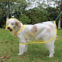 Xs 8XL à la mode chien vêtements imperméable imperméable Transparent vêtements de pluie couleur bord