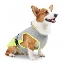Gilet rafraîchissant Gilet respirant pour chien pour les jours d été chauds Veste rafraîchissante ré