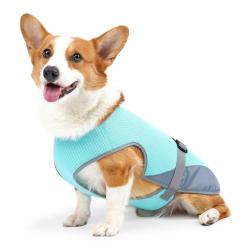 Gilet rafraîchissant Gilet respirant pour chien pour les jours d été chauds Veste rafraîchissante ré