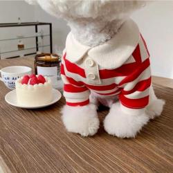 Polo d été pour chiens. vêtements pour chiots. Bichon Frise. Chihuahua. sweat shirt à rayures pour c