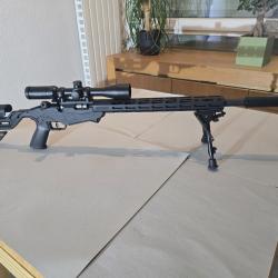 ruger precision