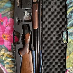 Fusil ball-trap pointer