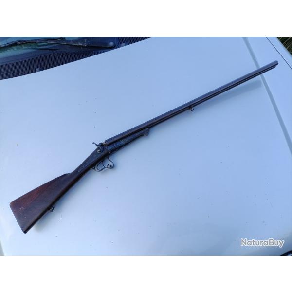 Fusil de chasse collection chiens extrieur