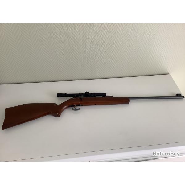 Carabine 22lr  1 coup