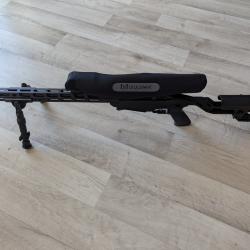 Ruger précision rifle 17 HMR