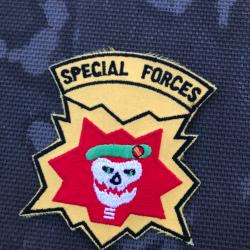 Insigne tissu écusson US ARMY 10