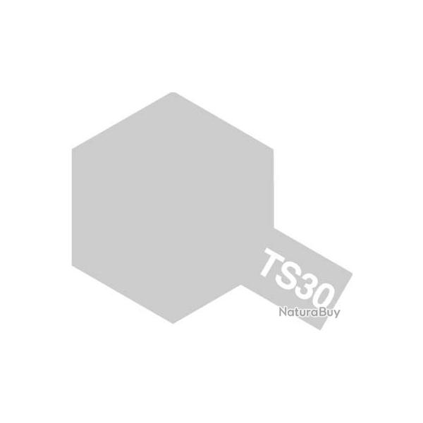 Peinture TS30 Aluminium brillant 100 ml | Tamiya (0000 1192) - Maquette  monter