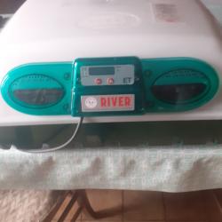 Couveuse oeuf river 49 oeufs automatiques humidificateur.