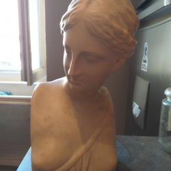 Buste Aphrodite reproduction musée du louvre
