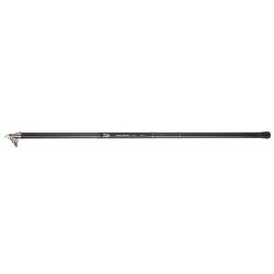 Canne à pêche DAIWA téléscopique procaster big pike 6m