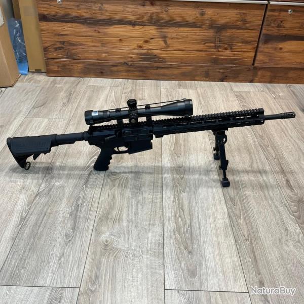 Occasion - Carabine WINDHAM WEAPONRY AR-10 WW-308 Cal.308 Win + Lunette Bushnell