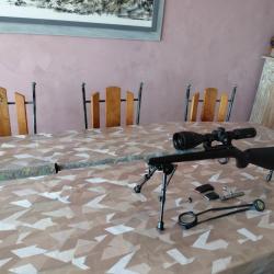 22 long rife