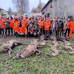 Chasse battue du Lundi grand gibier Forêt domaniale Essonne limite 78