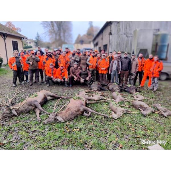 Chasse battue du Lundi grand gibier Fort domaniale Essonne limite 78