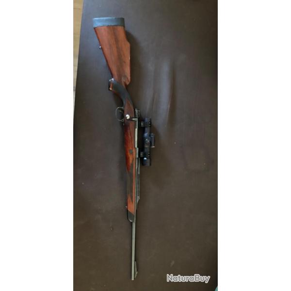 Carabine dumoulin