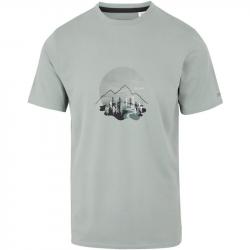 T shirt Regatta Fingal Stretch gris glacier