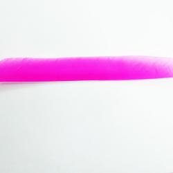 Bearpaw- Plume naturelle entière 10" Fuchsia