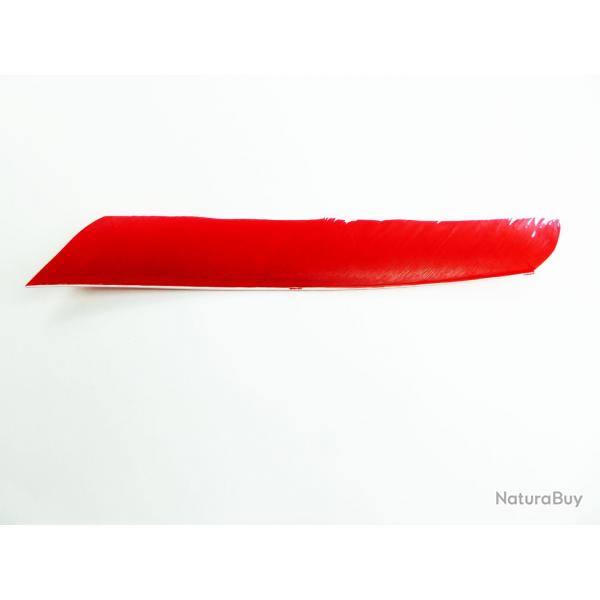 Bearpaw- Plume naturelle entire 10" Rouge
