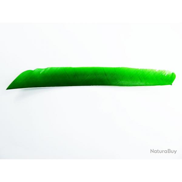 Bearpaw- Plume naturelle entire 10" Vert