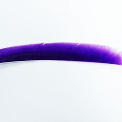Bearpaw- Plume naturelle entière 10" Violet