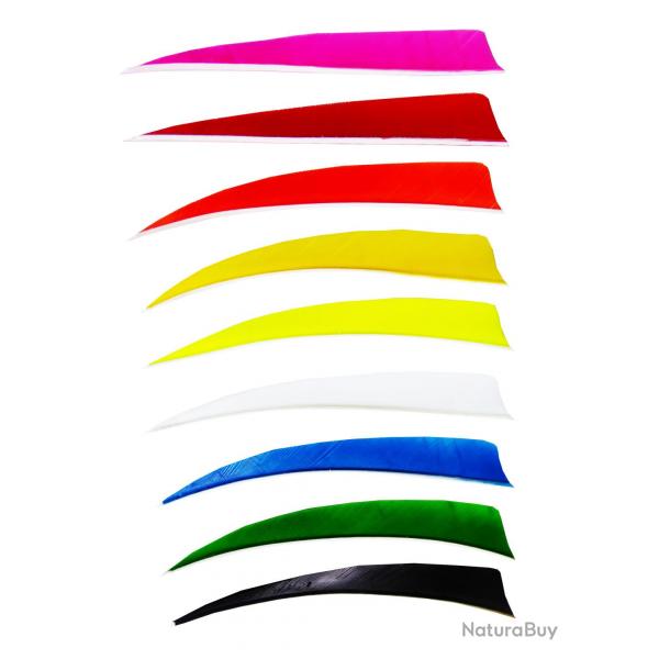 Plume naturelle Bearpaw Shield 5" Solid Blanc