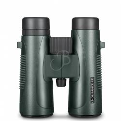 HAWKE - JUMELLE ENDURANCE ED 10X42 - VERT