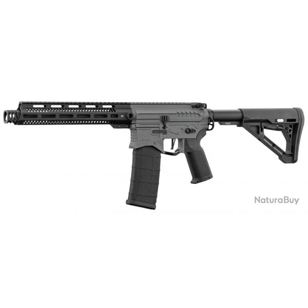 Rplique R15 mod 1 Zion Arms noir/gris garde main long
