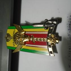 RARE INSIGNE MILITAIRE