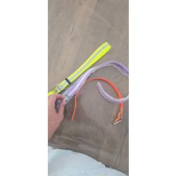 Collier pour chien fluo plusieurs couleurs toute tailles