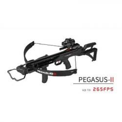 Arbalète à poulie Hori-Zone Pegasus II