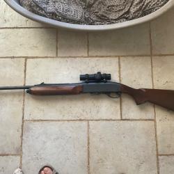 Vente carabine Remington 35 whelem