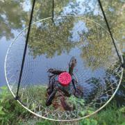 Lot De 3 Balances à écrevisses Métal – Pêche, Neuves, Dorées, Marque Ragot