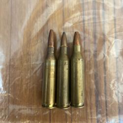 Lot 3 munitions 243win