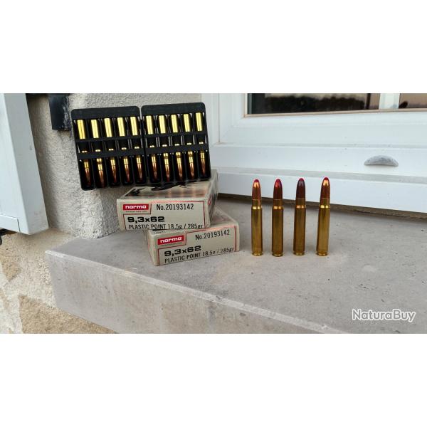 Balles norma pointe plastique 9,3x62 18,5g 285g