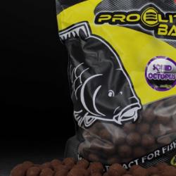 Bouillettes pro élite baits 24mm 3.5kg Squid Octopus