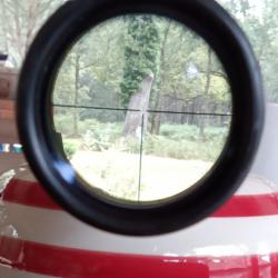 Lunette Zeiss mixte avec montage pivotant EAW