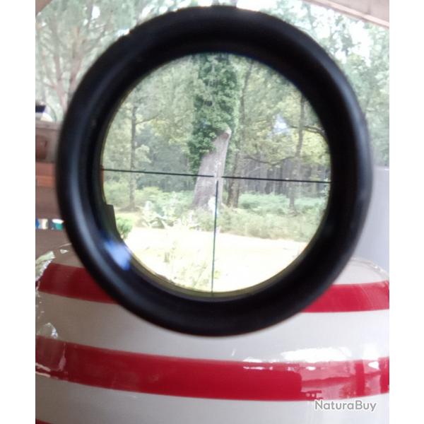 Lunette Zeiss mixte avec montage pivotant EAW