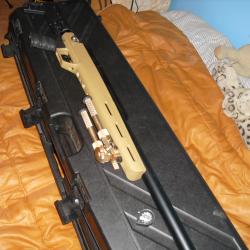 carabine pcp 19.9 ,joules