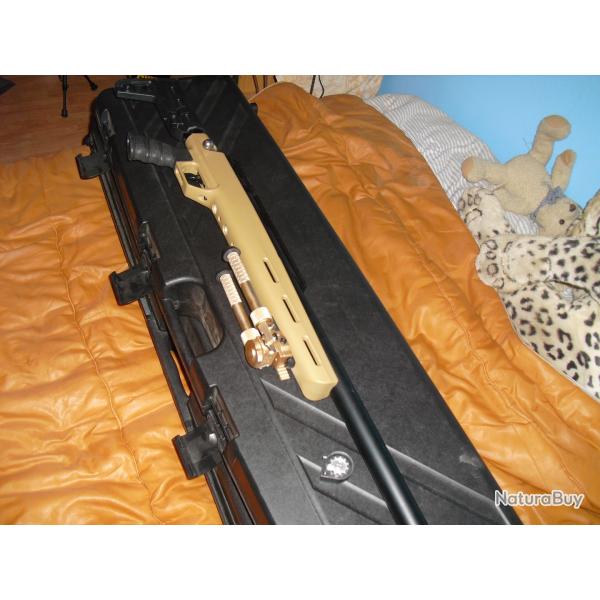 carabine pcp 19.9 ,joules