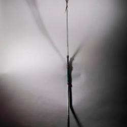 Lance touareg 164