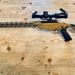 Ruger précision rimfire + rds B&T + lunette firefield 1-10x24