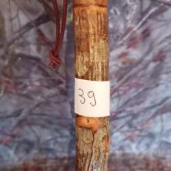 canne de pirsch (39)