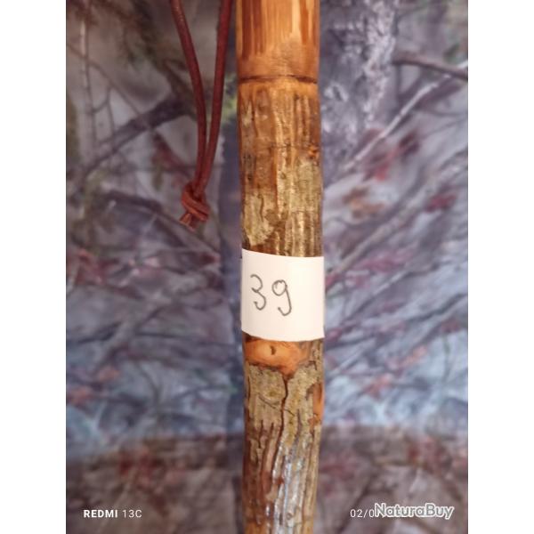 canne de pirsch (39)