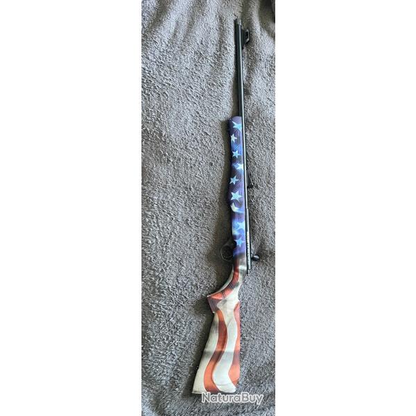 CARABINE ROSSI 8122 CALIBRE 22LR SYNTHTIQUE skin U.S.A